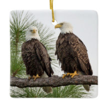 Ornamento do feriado do logotipo de H&O