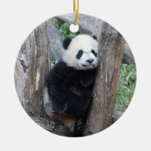 Ornamento do filhote da panda gigante de Bei Bei
