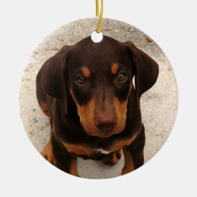 Ornamento do filhote de cachorro do Doberman (Frente)