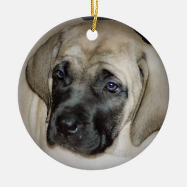 Ornamento do filhote de cachorro do Mastiff (Frente)