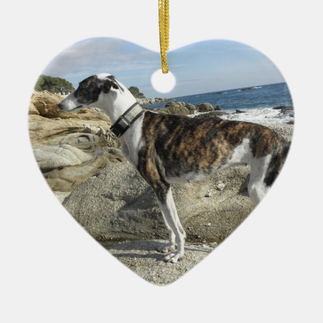 Ornamento do galgo (Frente)