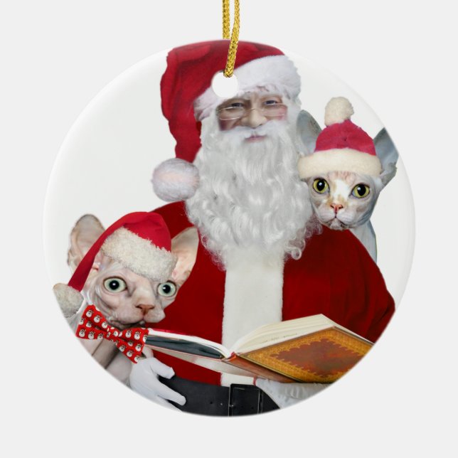 Ornamento do gato de Sphynx (Frente)