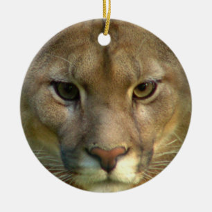 Ornamento do gato do puma