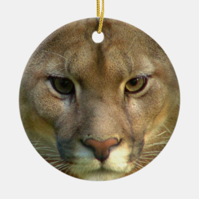 Ornamento do gato do puma (Frente)