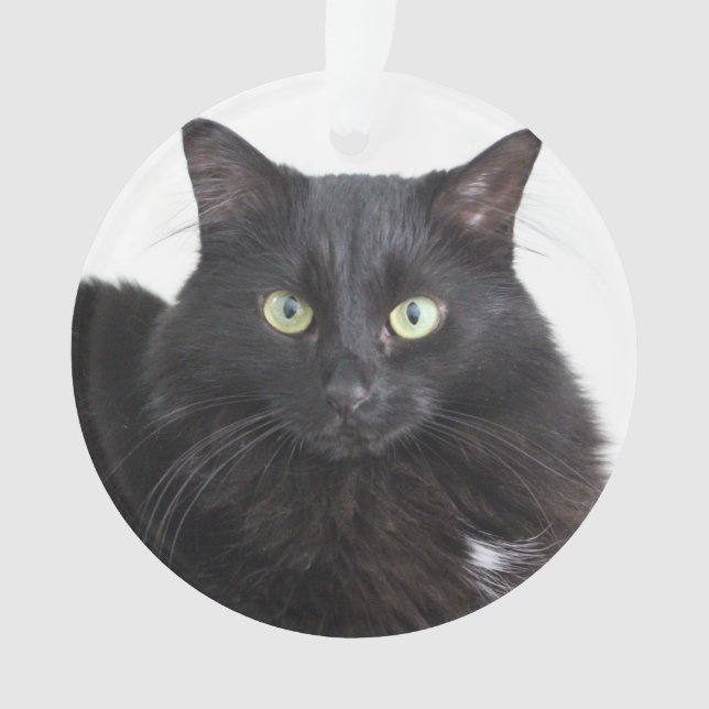 Ornamento do gato preto (Frente)