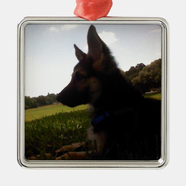 Ornamento do german shepherd (Frente)