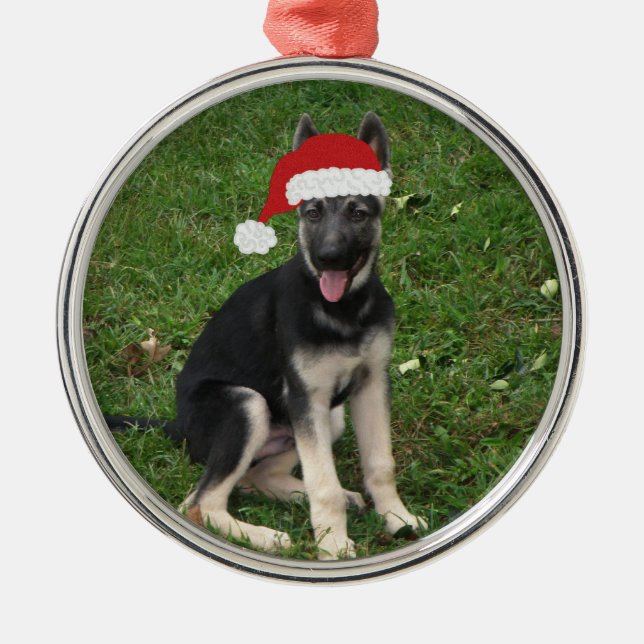 Ornamento do german shepherd do Natal (Frente)
