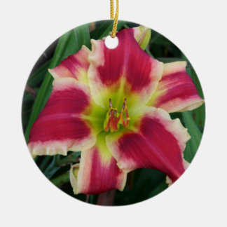 Ornamento do hemerocallis