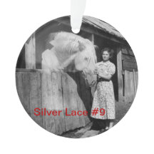 ornamento do laço #9 da prata do aniversário do 70