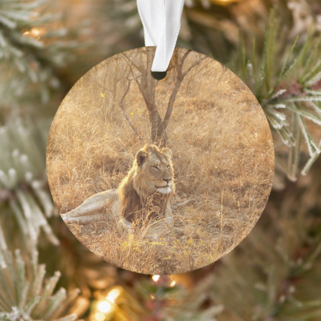 Ornamento do Leão (Árvore)