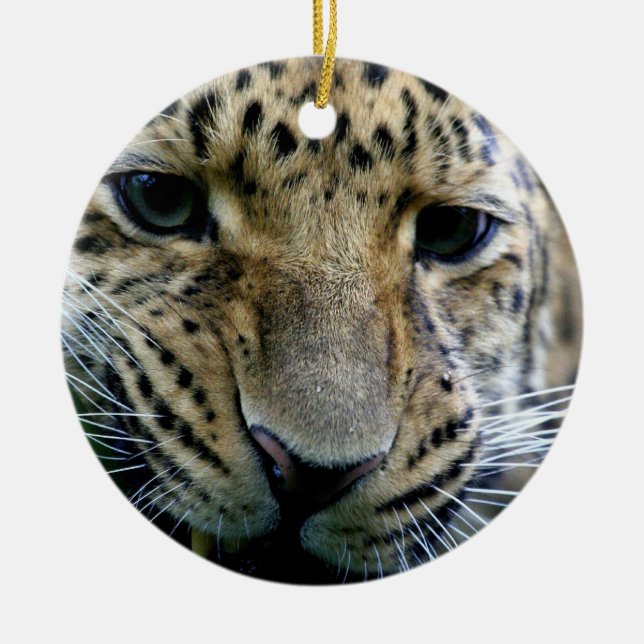 Ornamento do leopardo de Amur (Frente)