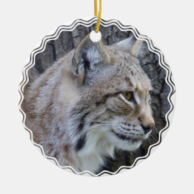 Ornamento do lince (Frente)