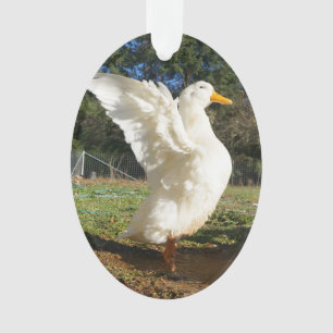 Ornamento do pato de Pekin