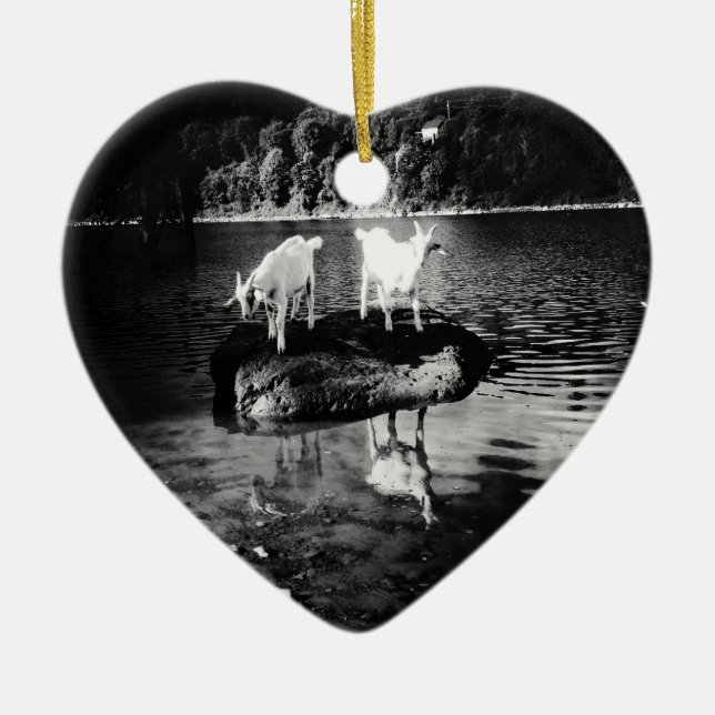 Ornamento do poder da cabra (Frente)