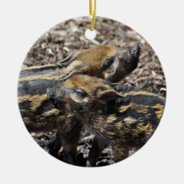 Ornamento do porco de Red River