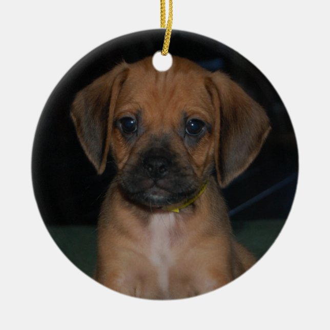 ornamento do puggle (Frente)