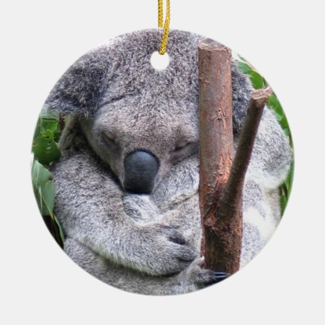 Ornamento do urso de Koala (Frente)