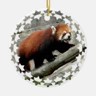 Ornamento do urso de panda vermelha