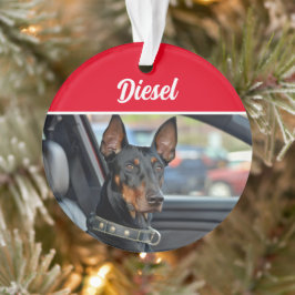 Ornamento Doberman Pinscher com Nome e Foto Natal