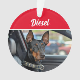 Ornamento Doberman Pinscher with Name and Photo Christmas