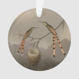 Ornamento Dois colibris com seus jovens