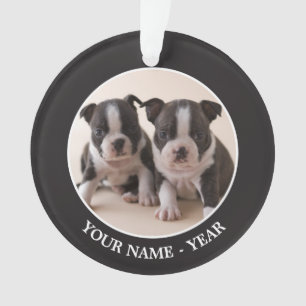 Ornamento Dois filhotes de cachorro de Boston Terrier