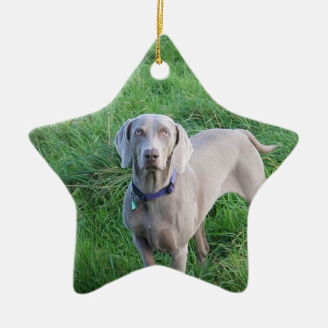 Ornamento dos amantes de Weimaraner (Frente)