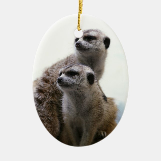 Ornamento dos pares de Meerkat (Frente)