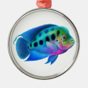 Ornamento dos peixes do aquário da cichlidae de