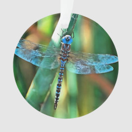 Ornamento Dragonfly Fantasia em Turquesa e Negro