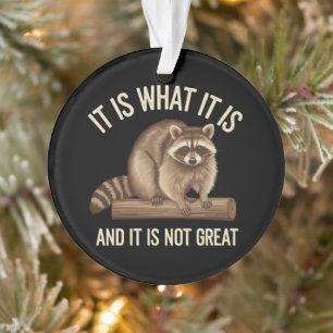 Ornamento É o que é e não é um grande Natal de Guaxinim