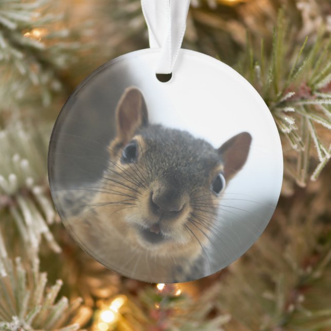 Ornamento Ei, ali perto do travesseiro prateado do colar. (Árvore)