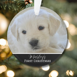 Ornamento Elegant Scripted Pet's First Christmas
