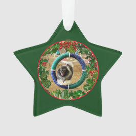Ornamento Elemento 2 do Keys Agiliy Xmas