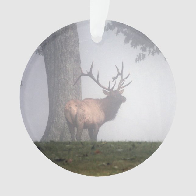 Ornamento Elk (Frente)