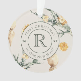 Ornamento Encantadora Elegância de inverno: Novo Proprietári