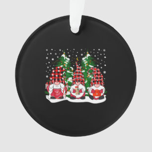 Ornamento Enfermeira Gnomos Papais noeis Natal Gnomos Enferm