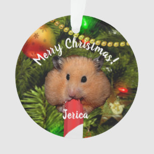 Ornamento Engraçado Hamster Comendo Caneta