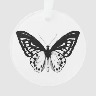 Ornamento Esboço da borboleta, preto e branco