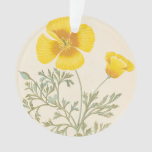 Ornamento Eschscholtzia californiano