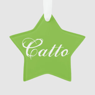 Ornamento Estrela Verde "Catto"