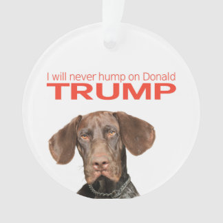 Ornamento Eu nunca vou bater no Donald Trump!