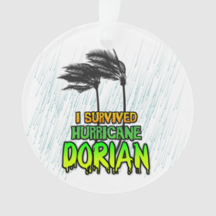 Ornamento Eu sobrevivi ao furacão Dorian
