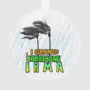 Ornamento Eu sobrevivi ao furacão Irma