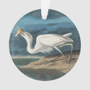 Ornamento Excelente White Heron Audubon Bird Willife Paintin
