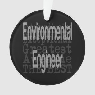 Ornamento Extraordinário de Engenheiros Ambientais