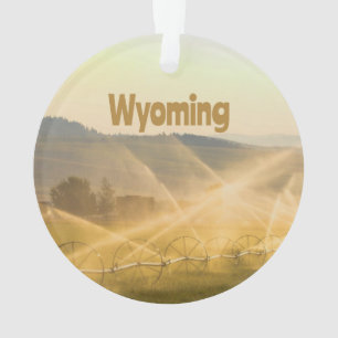 Ornamento Fazenda de Wyoming Wild West Fazenda