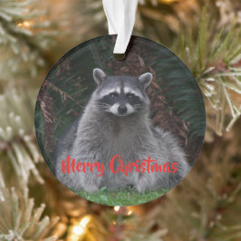 Ornamento Feliz Natal Foguete
