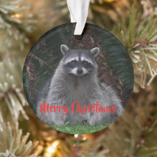 Ornamento Feliz Natal Forest Raccoon