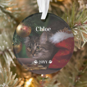 Ornamento Feriado de Ano e Nome de Foto de Pet Personalizado